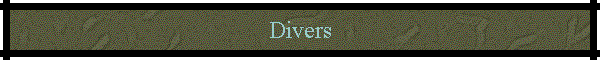 Divers